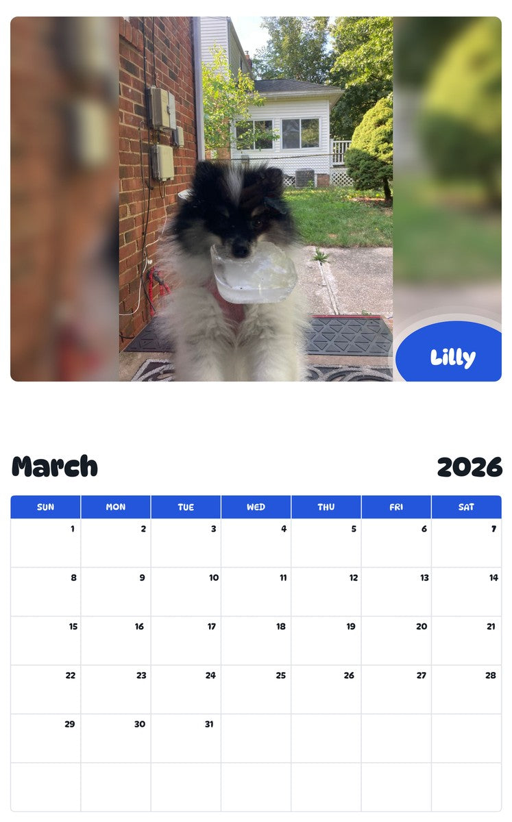 November 2025 - October 2026 Lilly - Pawidols Pet Calendar