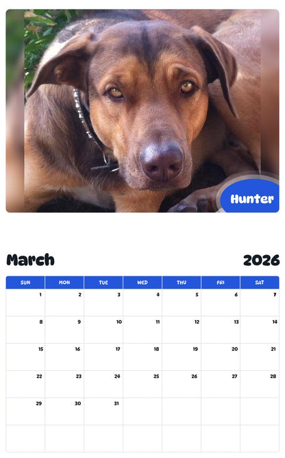 November 2025 - October 2026 Hunter - Pawidols Pet Calendar