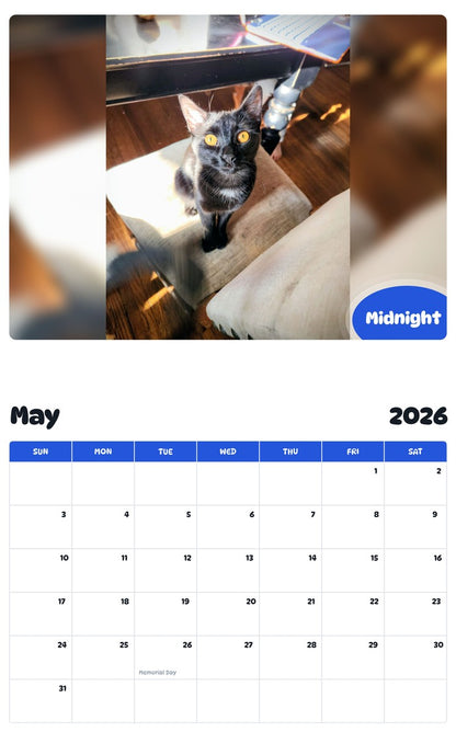 2026 - 2027 Midnight - Pawidols Pet Calendar