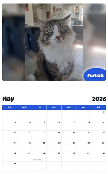 2026 - 2027 Furball - Pawidols Pet Calendar