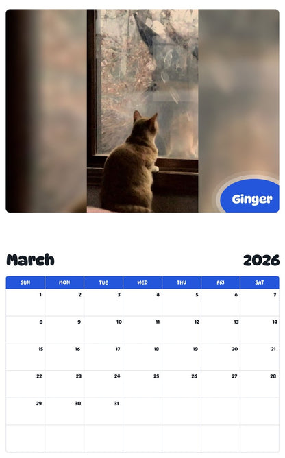 November 2025 - October 2026 Ginger - Pawidols Pet Calendar