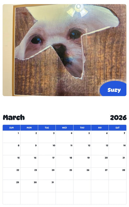 November 2025 - October 2026 Suzy - Pawidols Pet Calendar