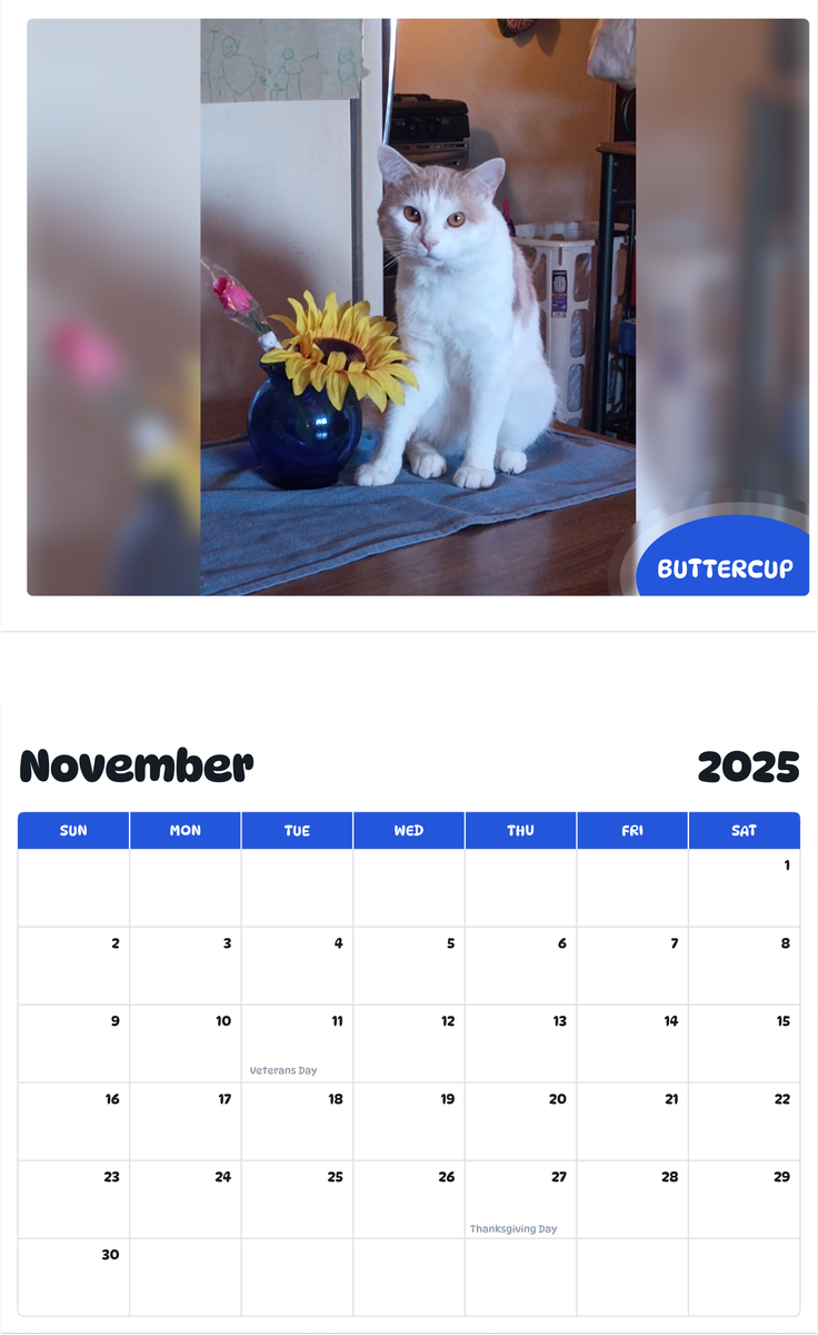 July 2025 - June 2026 Buttercup - Pawidols Pet Calendar