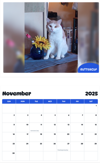 July 2025 - June 2026 Buttercup - Pawidols Pet Calendar