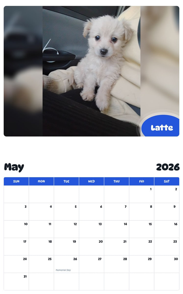 2026 - 2027 Latte - Pawidols Pet Calendar
