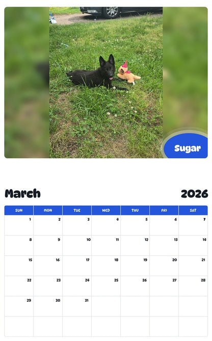November 2025 - October 2026 Sugar - Pawidols Pet Calendar