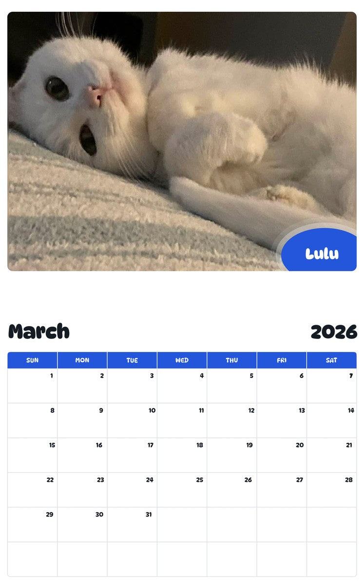 November 2025 - October 2026 Lulu - Pawidols Pet Calendar