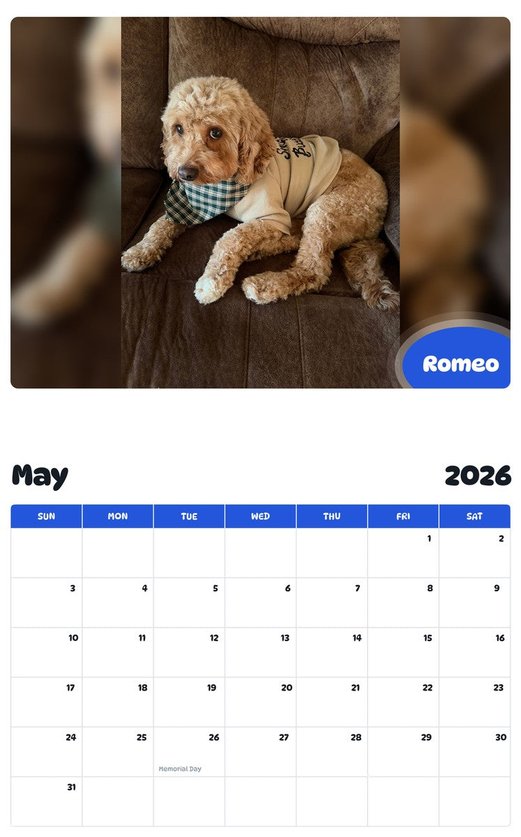 2026 - 2027 Romeo - Pawidols Pet Calendar
