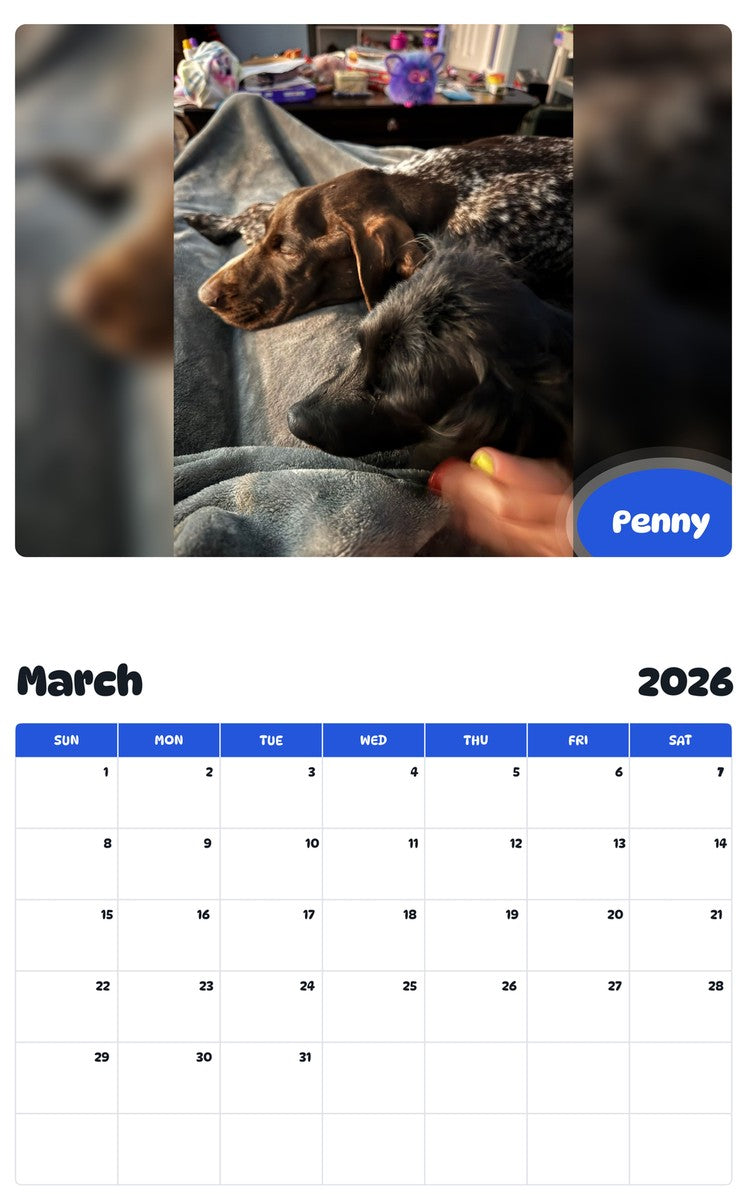 November 2025 - October 2026 Penny - Pawidols Pet Calendar