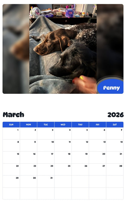November 2025 - October 2026 Penny - Pawidols Pet Calendar