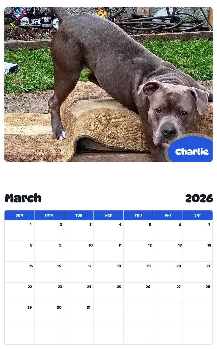 November 2025 - October 2026 Charlie - Pawidols Pet Calendar