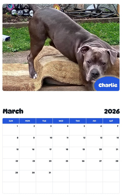 November 2025 - October 2026 Charlie - Pawidols Pet Calendar