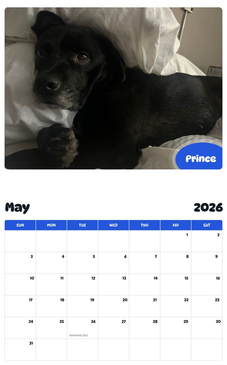 2026 - 2027 Prince - Pawidols Pet Calendar