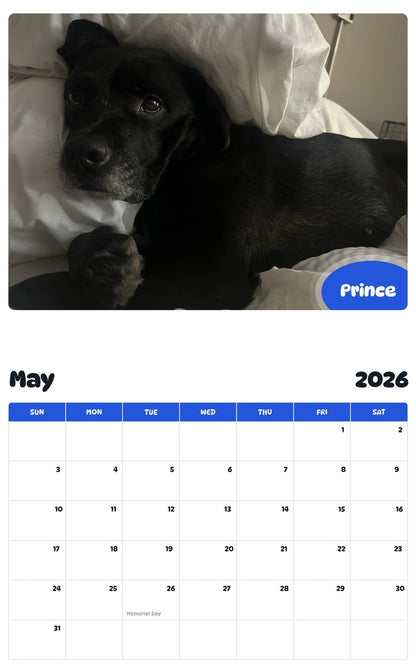 2026 - 2027 Prince - Pawidols Pet Calendar