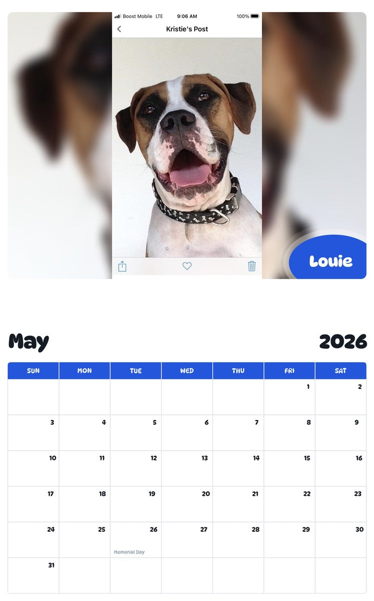 2026 - 2027 Louie - Pawidols Pet Calendar