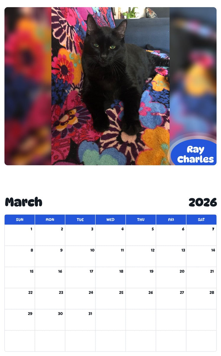 November 2025 - October 2026 Ray Charles - Pawidols Pet Calendar