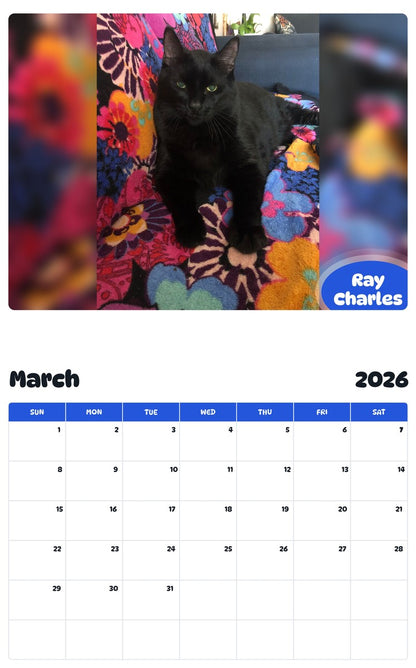 November 2025 - October 2026 Ray Charles - Pawidols Pet Calendar