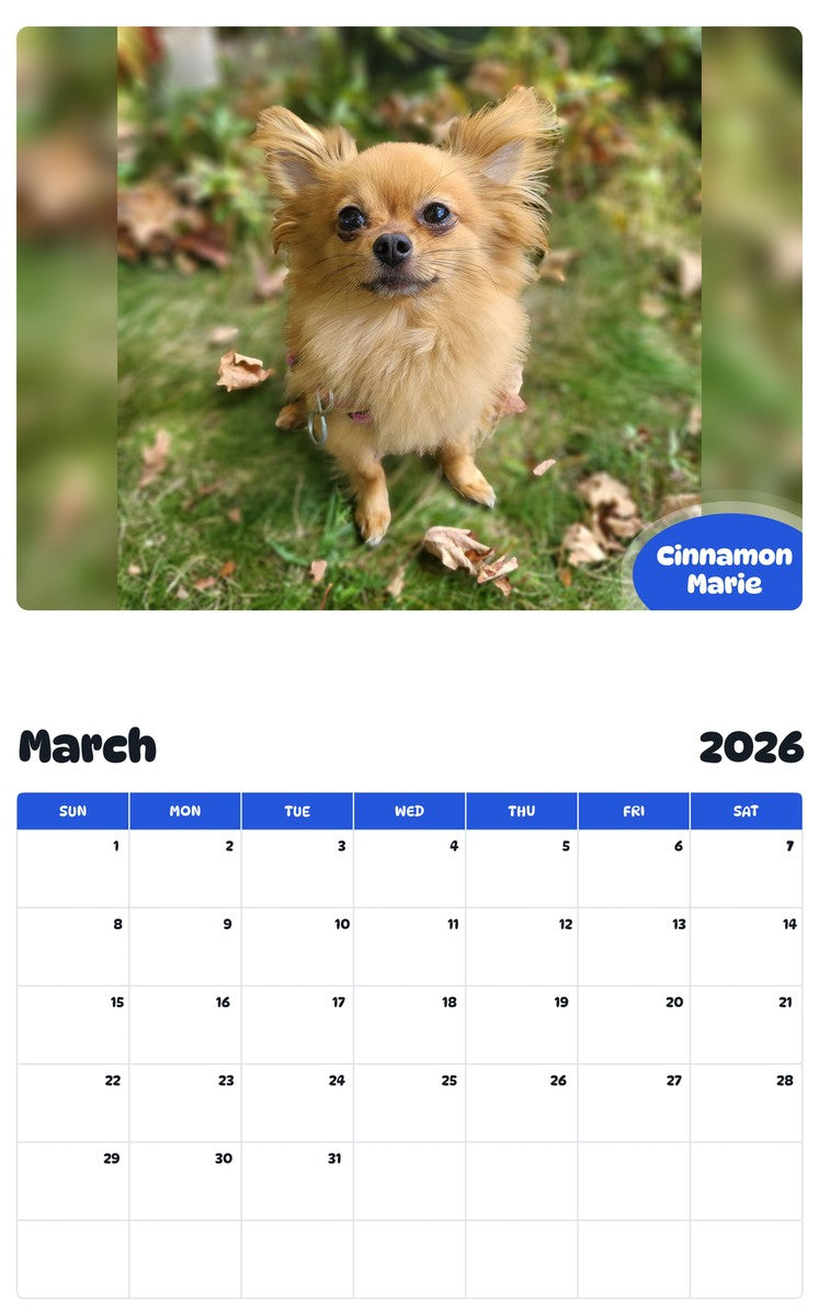 November 2025 - October 2026 Cinnamon Marie - Pawidols Pet Calendar