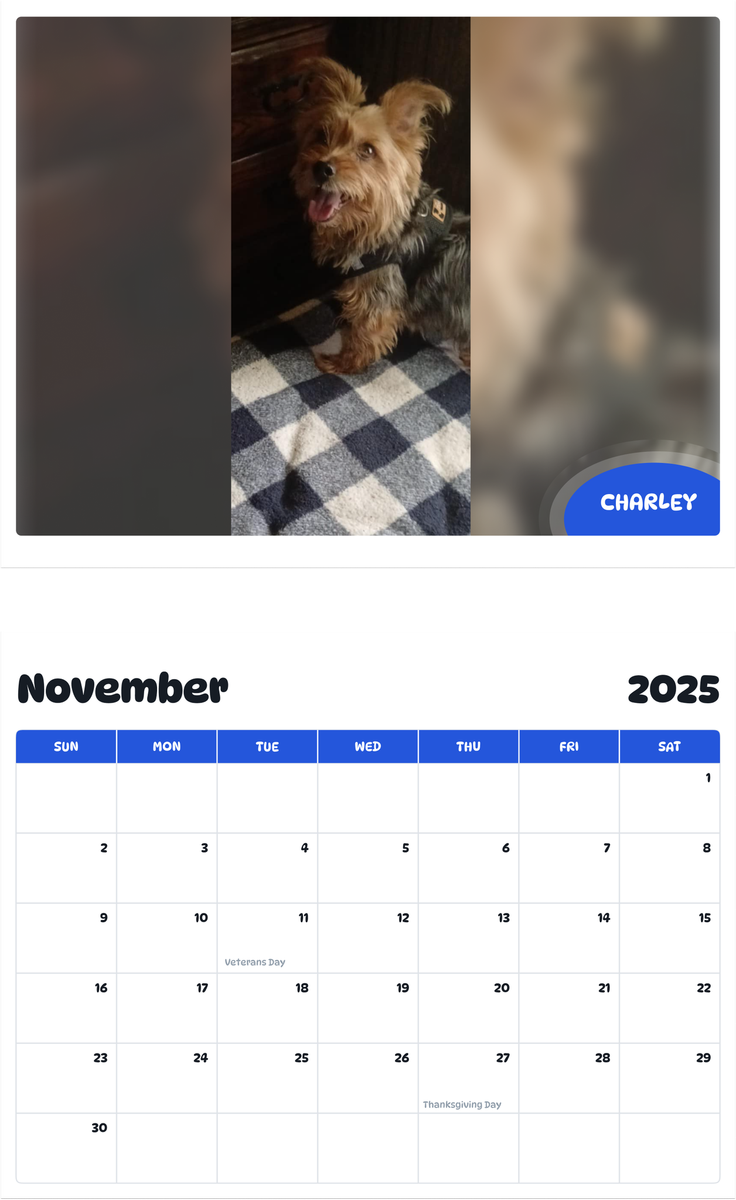 July 2025 - June 2026 Charley - Pawidols Pet Calendar