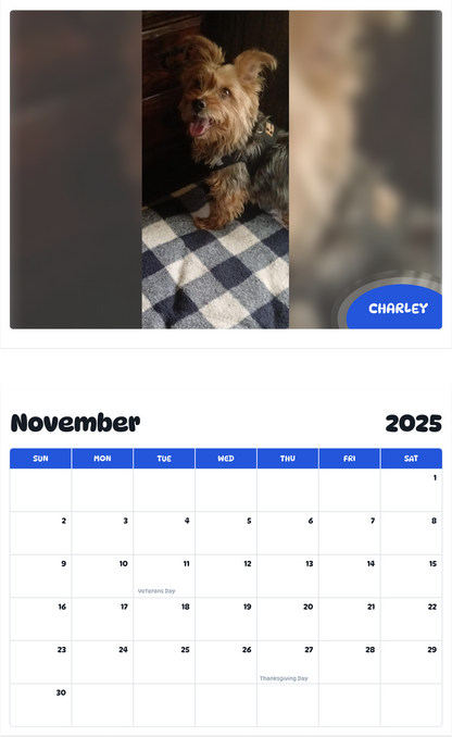 July 2025 - June 2026 Charley - Pawidols Pet Calendar