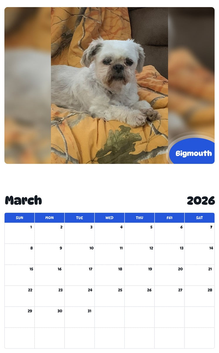 November 2025 - October 2026 Bigmouth - Pawidols Pet Calendar