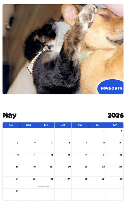 2026 - 2027 Nova & Ash - Pawidols Pet Calendar