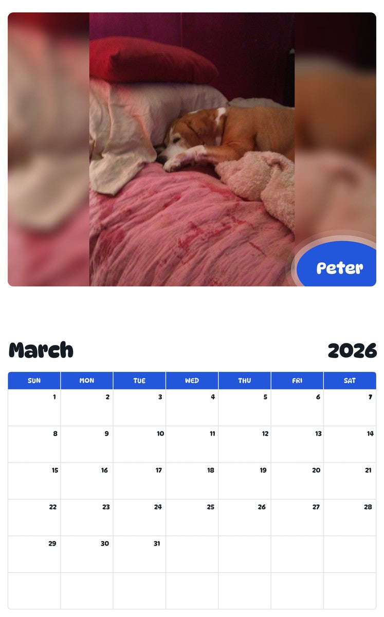 November 2025 - October 2026 Peter - Pawidols Pet Calendar