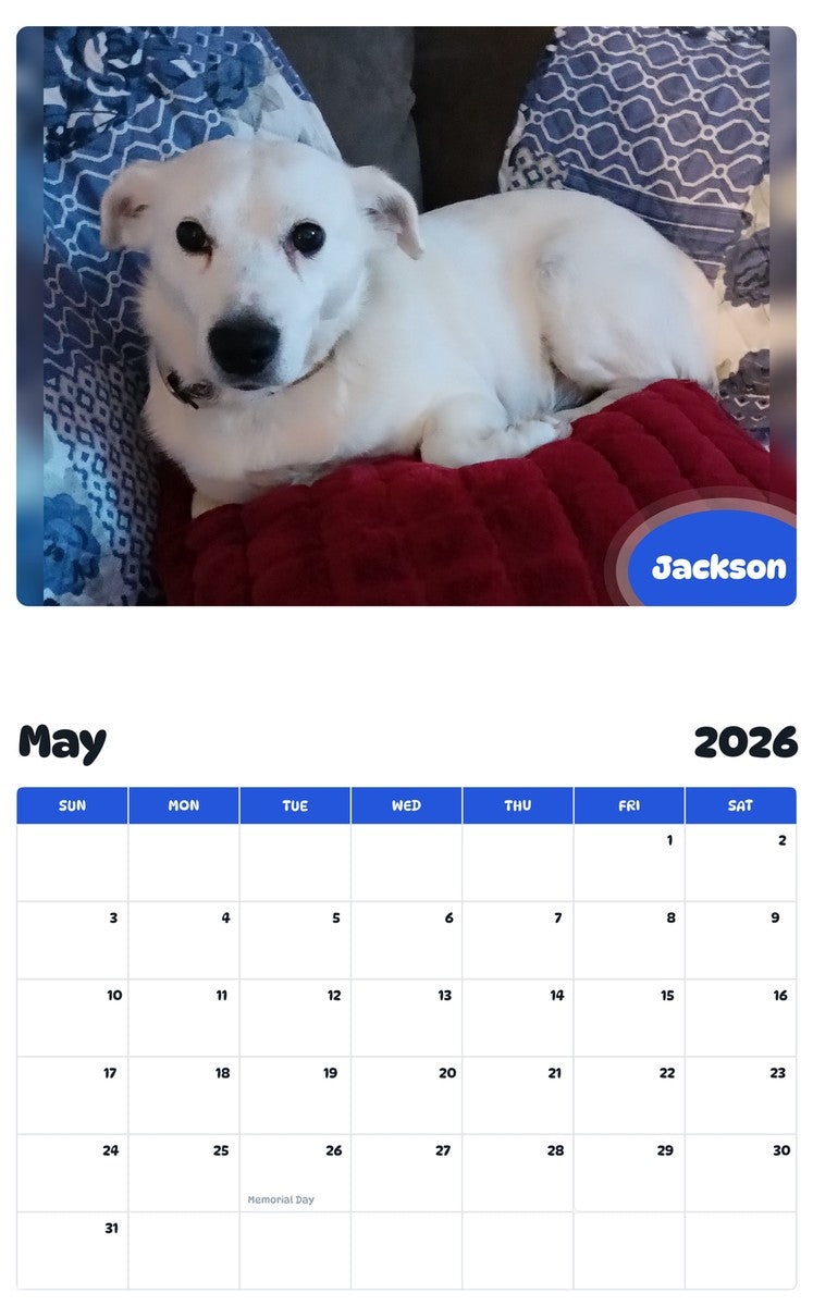 2026 - 2027 Jackson - Pawidols Pet Calendar