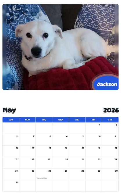 2026 - 2027 Jackson - Pawidols Pet Calendar