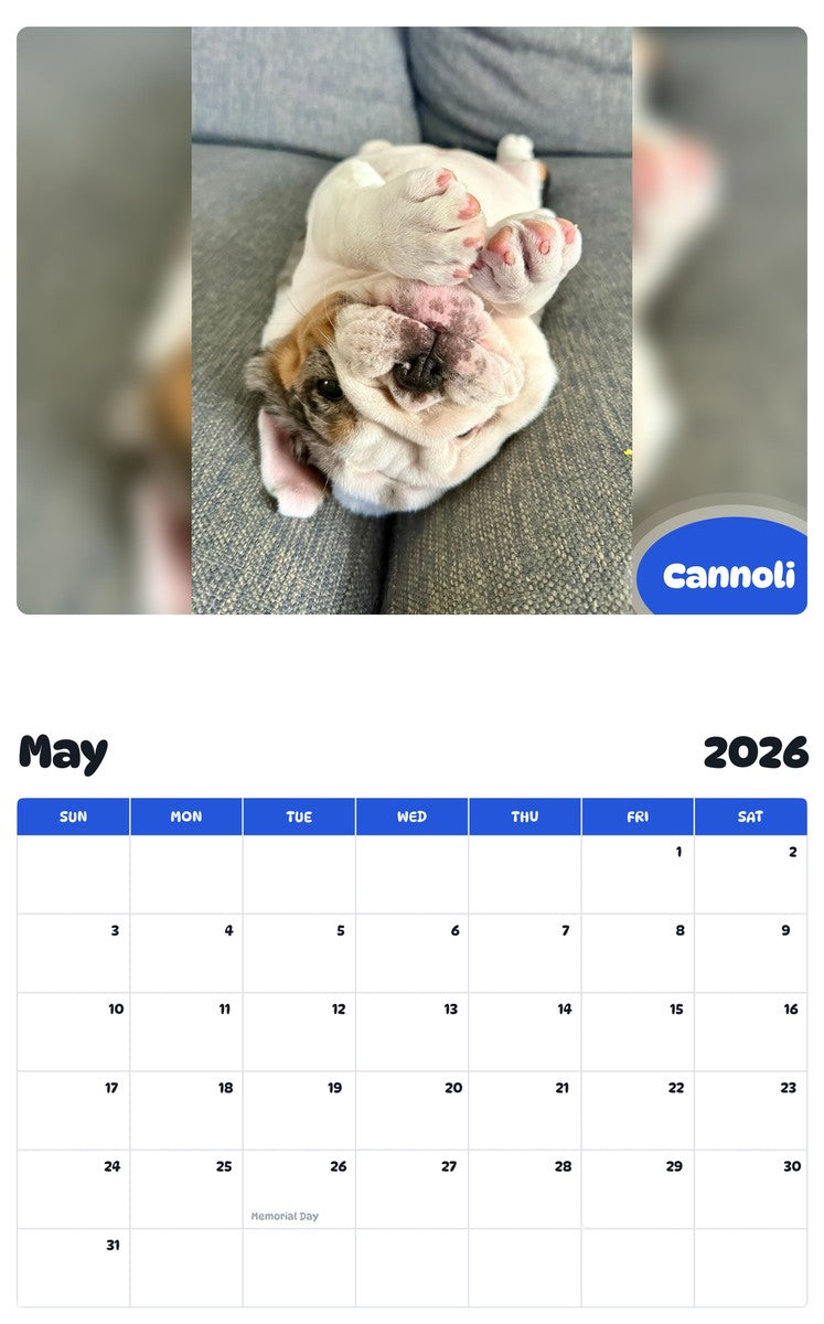2026 - 2027 Cannoli - Pawidols Pet Calendar