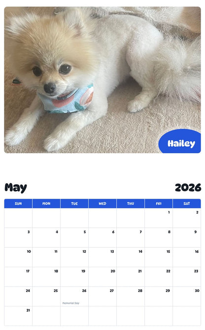 2026 - 2027 Hailey - Pawidols Pet Calendar