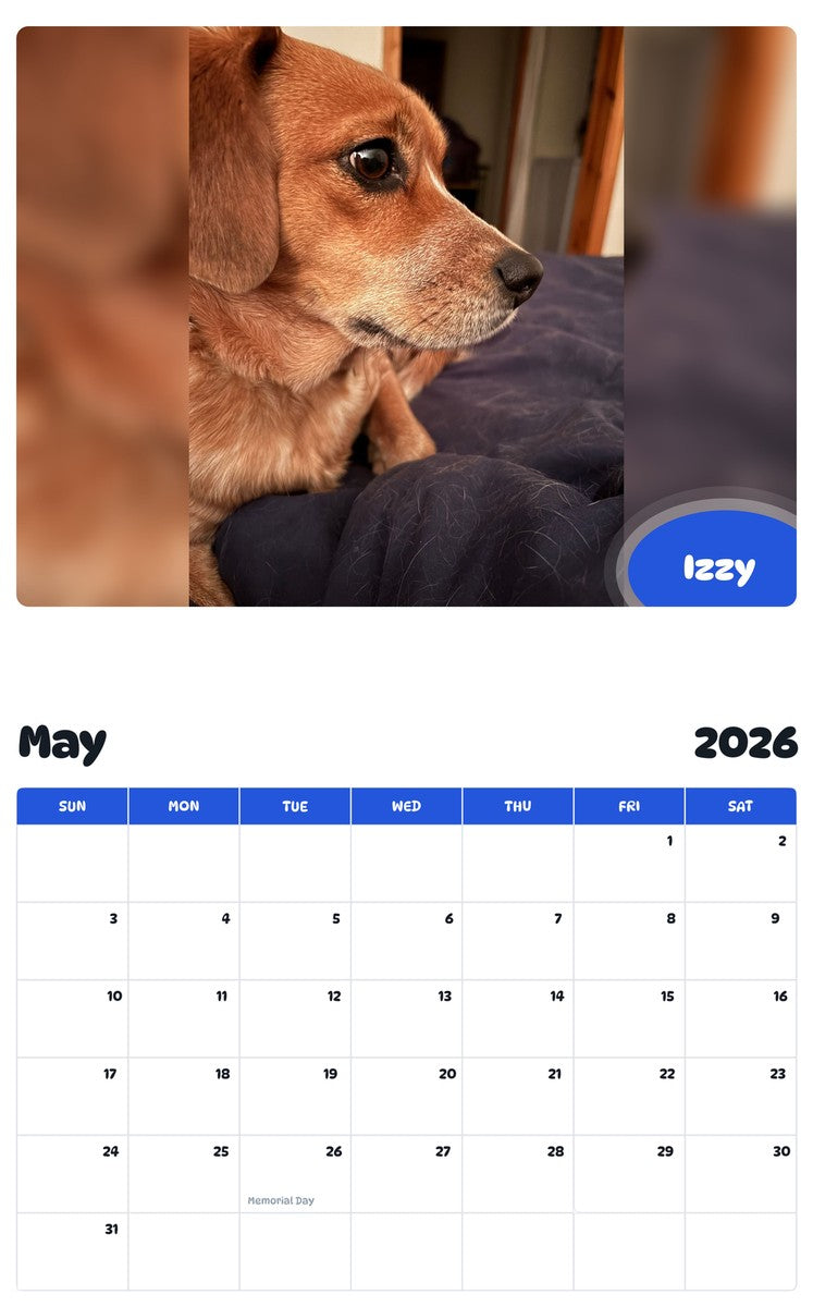 2026 - 2027 Izzy - Pawidols Pet Calendar