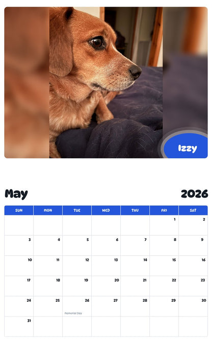 2026 - 2027 Izzy - Pawidols Pet Calendar