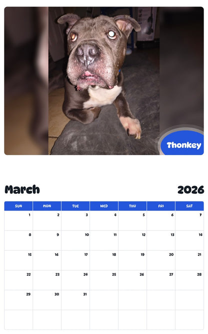 November 2025 - October 2026 Thonkey - Pawidols Pet Calendar