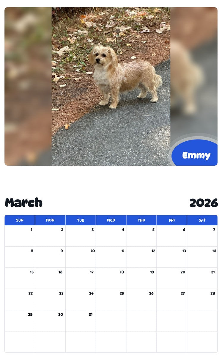 November 2025 - October 2026 Emmy - Pawidols Pet Calendar