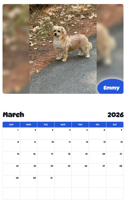 November 2025 - October 2026 Emmy - Pawidols Pet Calendar