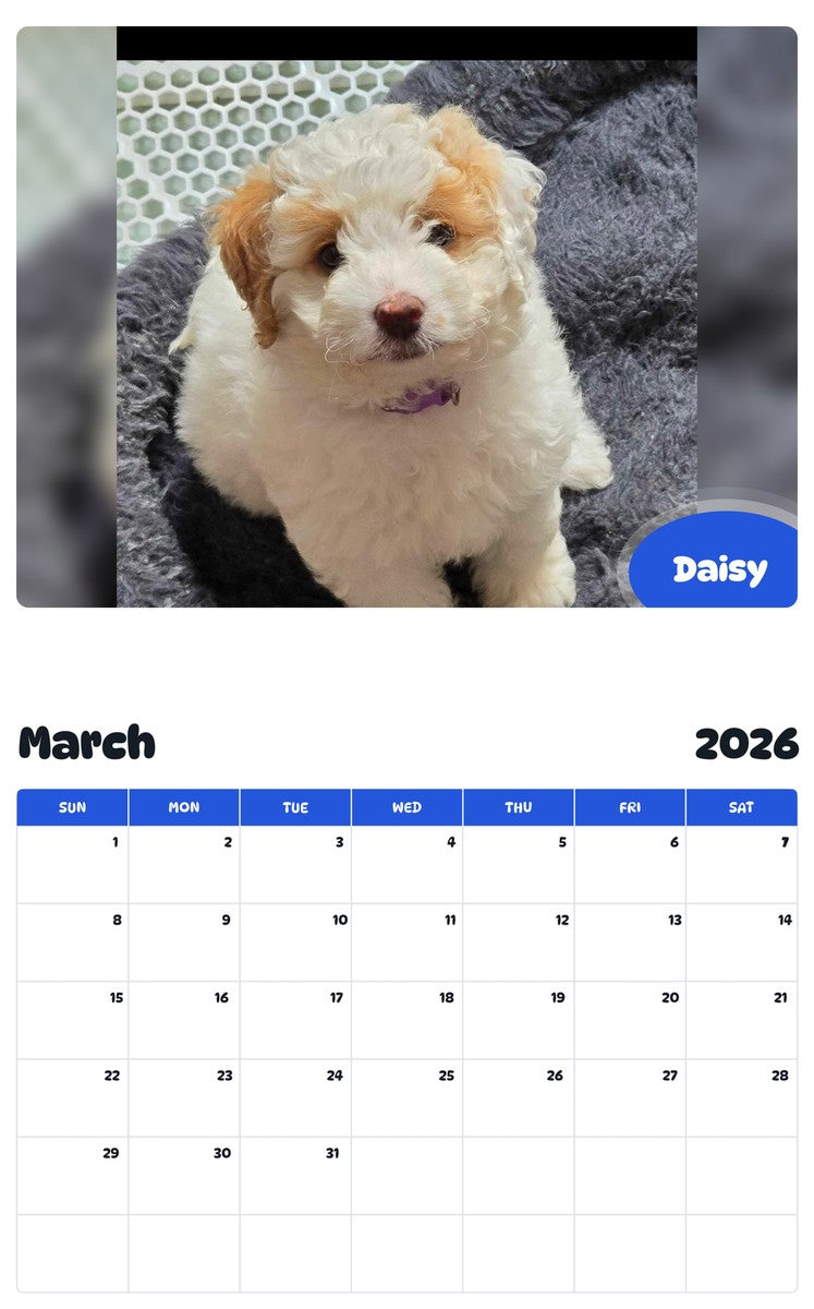 November 2025 - October 2026 Daisy - Pawidols Pet Calendar
