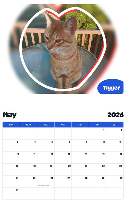 2026 - 2027 Tigger - Pawidols Pet Calendar