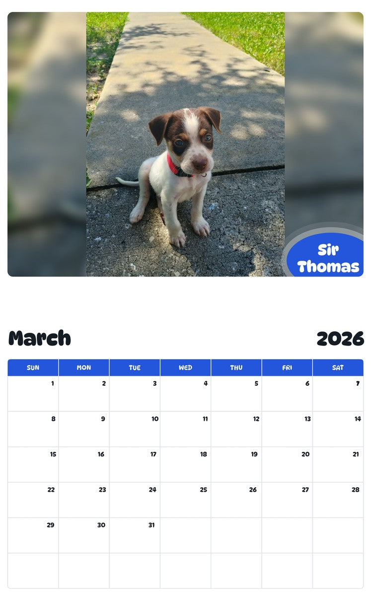 November 2025 - October 2026 Sir Thomas - Pawidols Pet Calendar