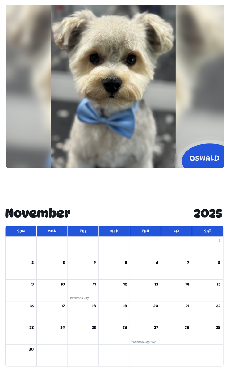 July 2025 - June 2026 Oswald - Pawidols Pet Calendar