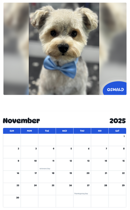 July 2025 - June 2026 Oswald - Pawidols Pet Calendar