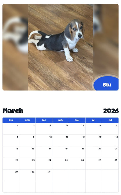 November 2025 - October 2026 Blu - Pawidols Pet Calendar