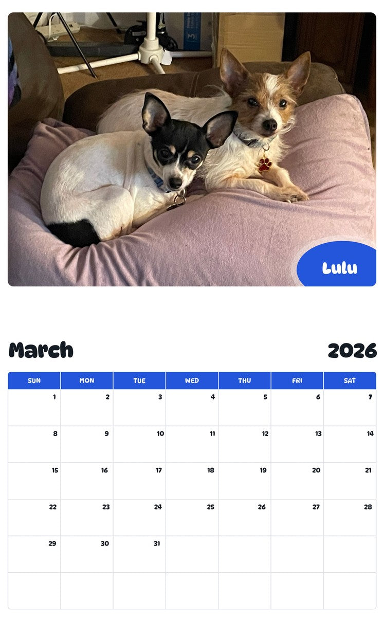 November 2025 - October 2026 Lulu - Pawidols Pet Calendar