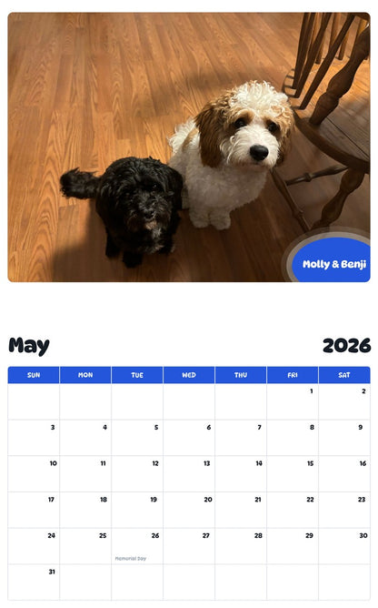2026 - 2027 Molly & Benji - Pawidols Pet Calendar