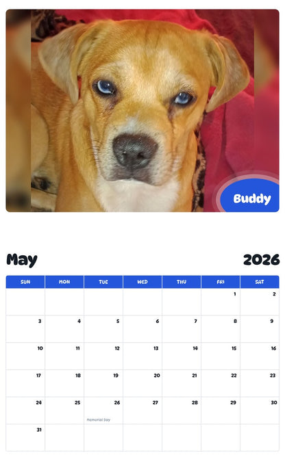 2026 - 2027 Buddy - Pawidols Pet Calendar