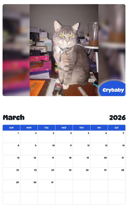 November 2025 - October 2026 Crybaby - Pawidols Pet Calendar
