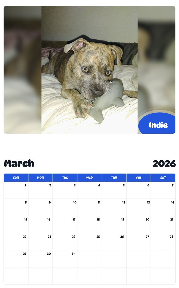 November 2025 - October 2026 Indie - Pawidols Pet Calendar