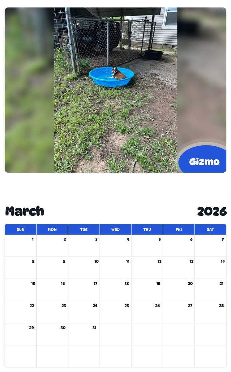 November 2025 - October 2026 Gizmo - Pawidols Pet Calendar
