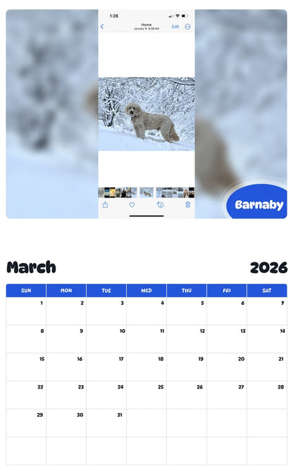 November 2025 - October 2026 Barnaby - Pawidols Pet Calendar