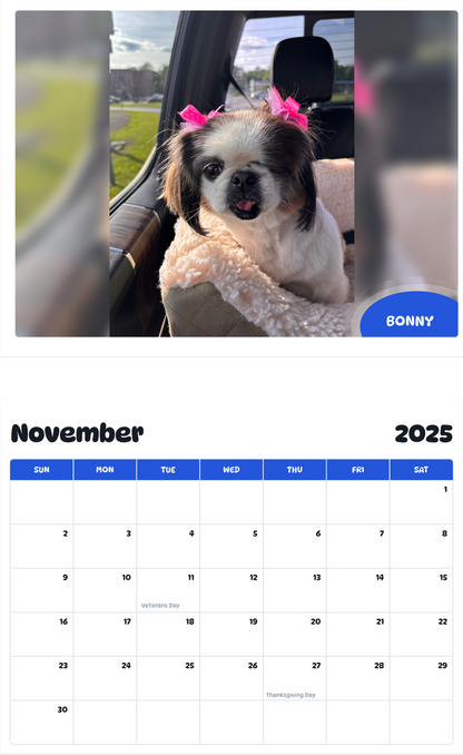 July 2025 - June 2026 Bonny - Pawidols Pet Calendar